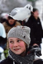 2ème - Georges Beaugeard - La mouette